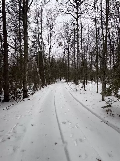 S Loxley, Houghton Lake, MI 48629