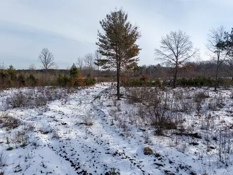 000 N Vl N E Monroe Rd, Hart, MI 49420 photo 6