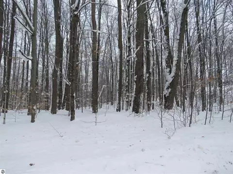 0 W 38, Harrietta, MI 49638
