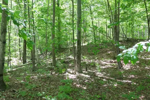 6182 Hamilton, Harrison, MI 48625 photo 45