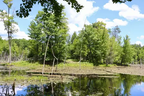 6182 Hamilton, Harrison, MI 48625 photo 23