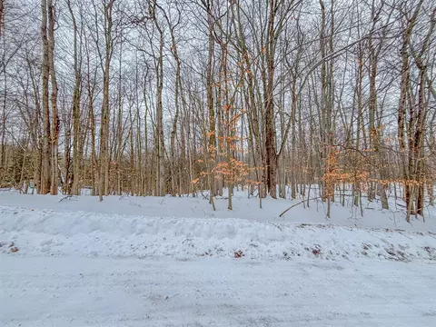12329 Wagon Wheel # 387, Canadian Lakes, MI 49346