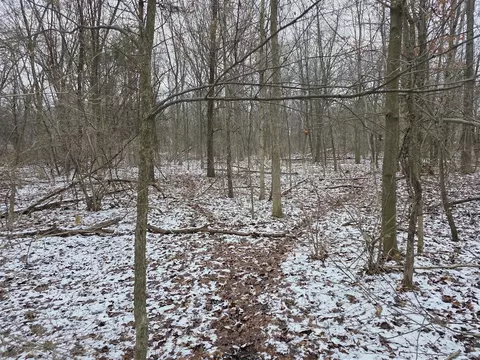V/l Bronson, Plainwell, MI 49080 photo 11