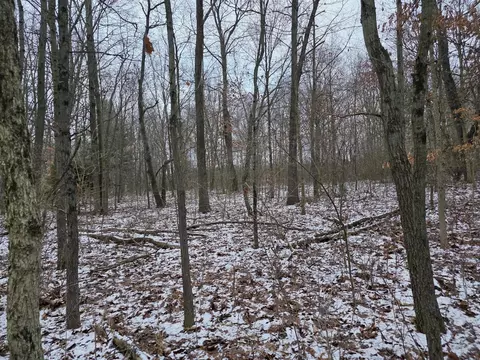 V/l Bronson, Plainwell, MI 49080 photo 31