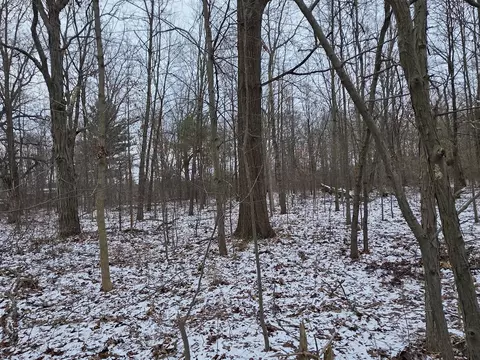 V/l Bronson, Plainwell, MI 49080 photo 37