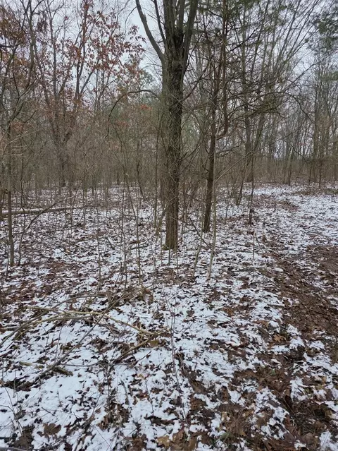 V/l Bronson, Plainwell, MI 49080 photo 23