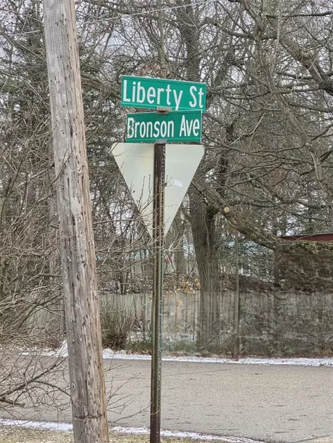 V/l Bronson, Plainwell, MI 49080 photo 2