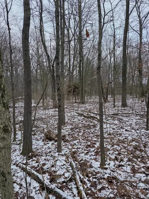V/l Bronson, Plainwell, MI 49080 photo 27