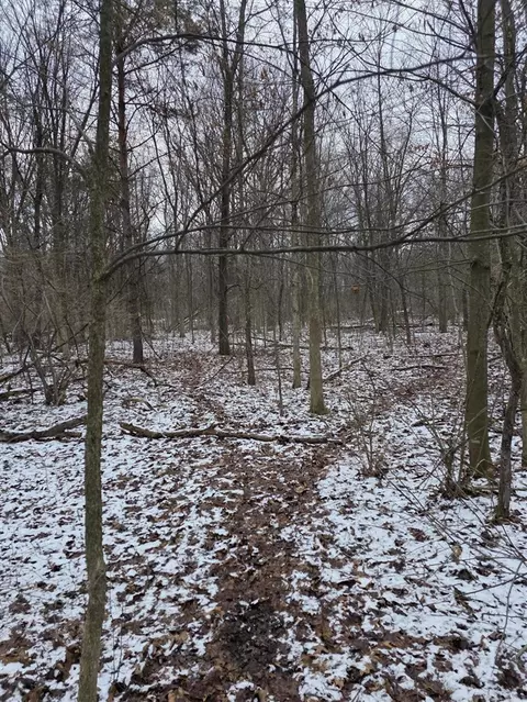 V/l Bronson, Plainwell, MI 49080 photo 32