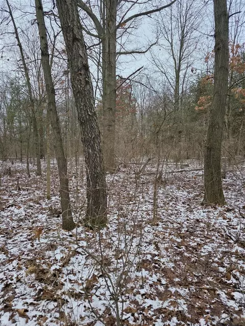 V/l Bronson, Plainwell, MI 49080 photo 25