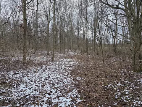 V/l Bronson, Plainwell, MI 49080 photo 22