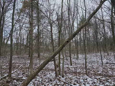V/l Bronson, Plainwell, MI 49080 photo 28