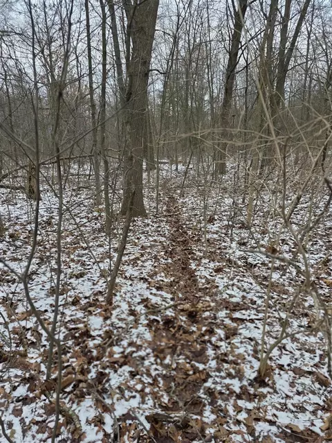V/l Bronson, Plainwell, MI 49080 photo 16