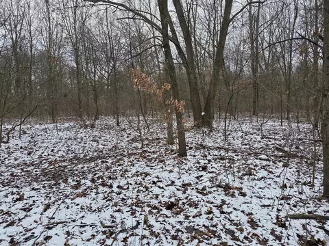 V/l Bronson, Plainwell, MI 49080 photo 17