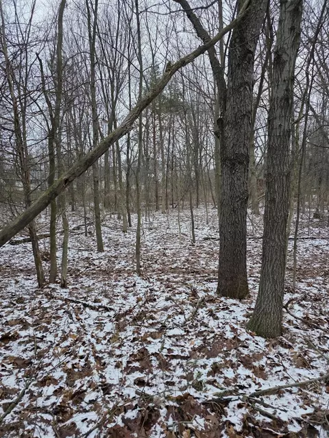 V/l Bronson, Plainwell, MI 49080 photo 26