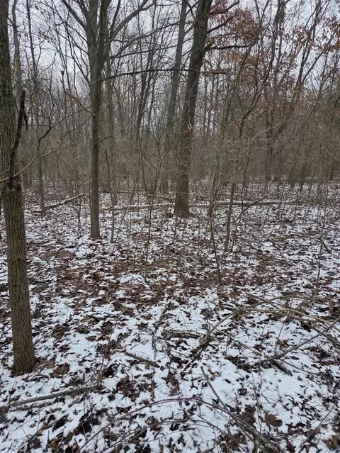 V/l Bronson, Plainwell, MI 49080 photo 24