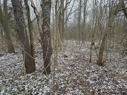 V/l Bronson, Plainwell, MI 49080 photo 9