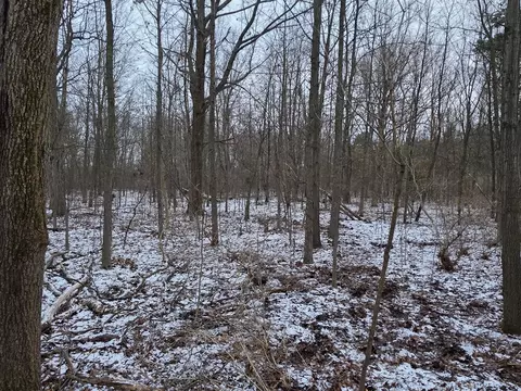 V/l Bronson, Plainwell, MI 49080 photo 38