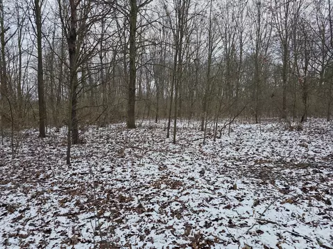 V/l Bronson, Plainwell, MI 49080 photo 15