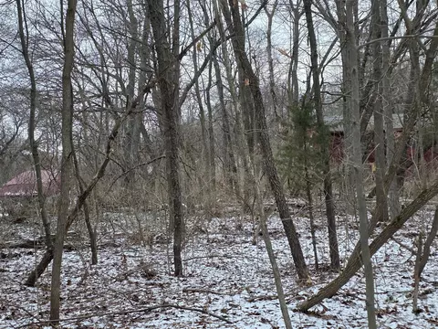 V/l Bronson, Plainwell, MI 49080 photo 35