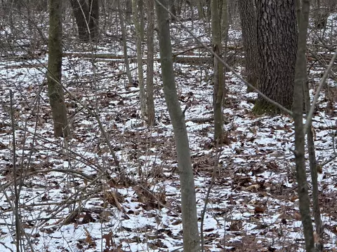 V/l Bronson, Plainwell, MI 49080 photo 33