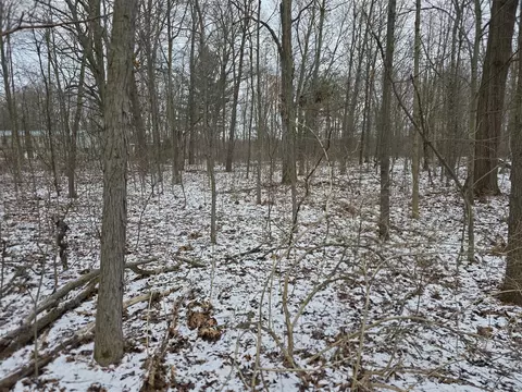 V/l Bronson, Plainwell, MI 49080 photo 10