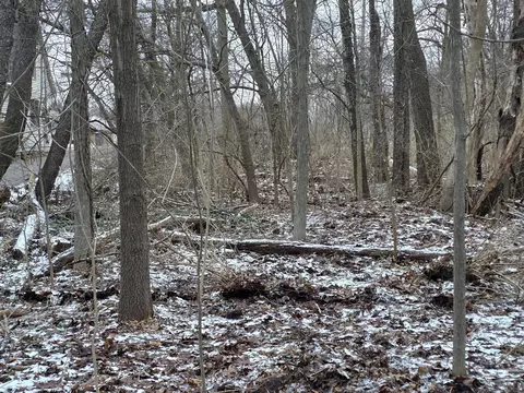 V/l Bronson, Plainwell, MI 49080 photo 36