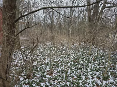 V/l Bronson, Plainwell, MI 49080 photo 8