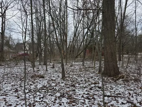V/l Bronson, Plainwell, MI 49080 photo 14