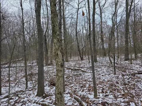 V/l Bronson, Plainwell, MI 49080 photo 30