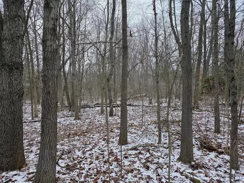 V/l Bronson, Plainwell, MI 49080 photo 29