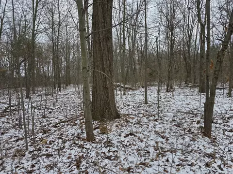 V/l Bronson, Plainwell, MI 49080 photo 12