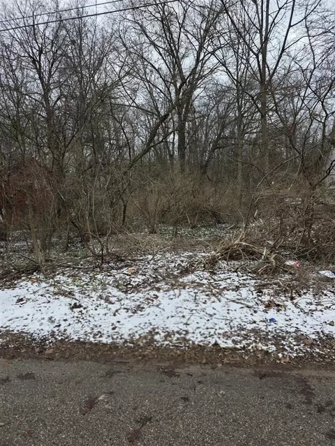 V/l Bronson, Plainwell, MI 49080 photo 5
