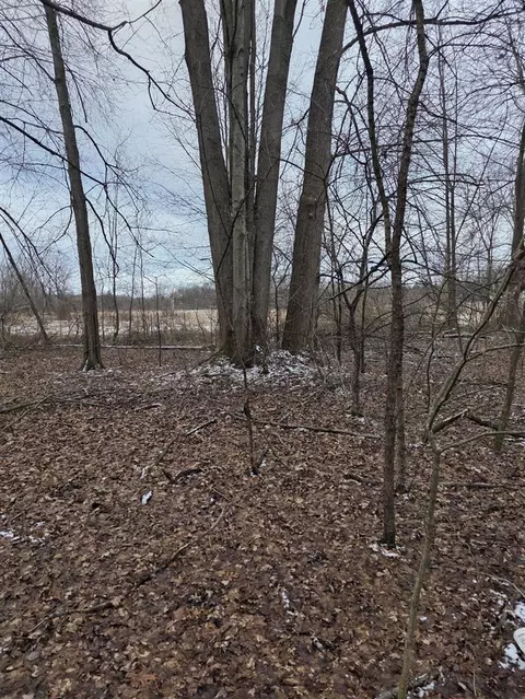 V/l Bronson, Plainwell, MI 49080 photo 18