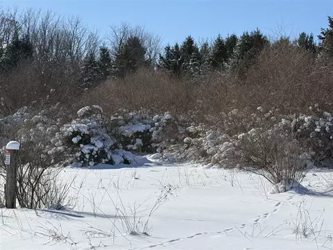 6800 W Barnum, Middleville, MI 49333