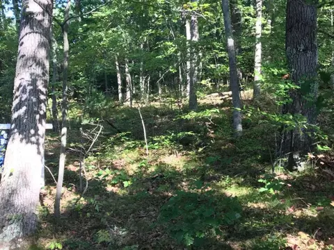 Vl E Woodlawn, Newaygo, MI 49337 photo 3