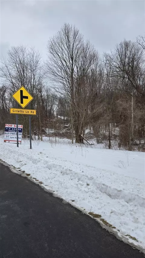 0 Ann Arbor, Jackson, MI 49201 photo 12