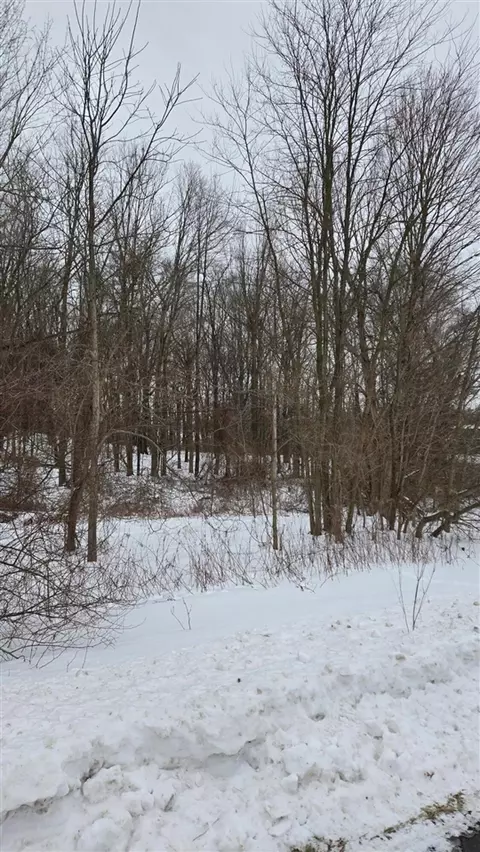 0 Ann Arbor, Jackson, MI 49201 photo 10