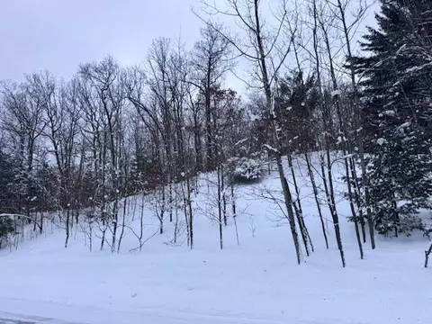 Frank Smith Rd, Chase, MI 49623 photo 3