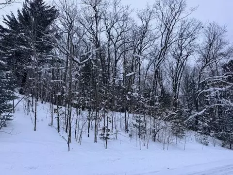 Frank Smith Rd, Chase, MI 49623 photo 4