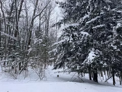 Frank Smith Rd, Chase, MI 49623 photo 2
