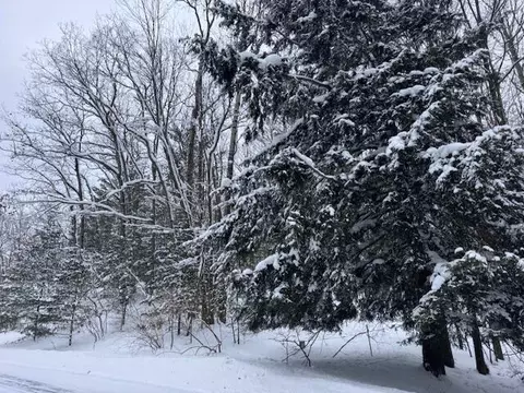 Frank Smith Rd, Chase, MI 49623