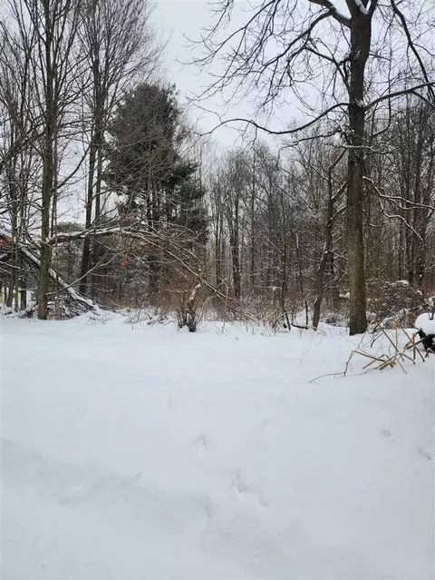 8694 W South County Line, Greenville, MI 48838