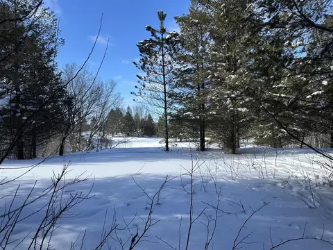 00 E 24, Cadillac, MI 49601 photo 13
