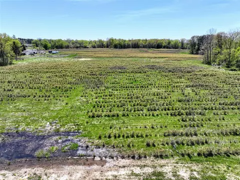 59237 Benny Ct #PARCEL 4, Grand Junction, MI 49056