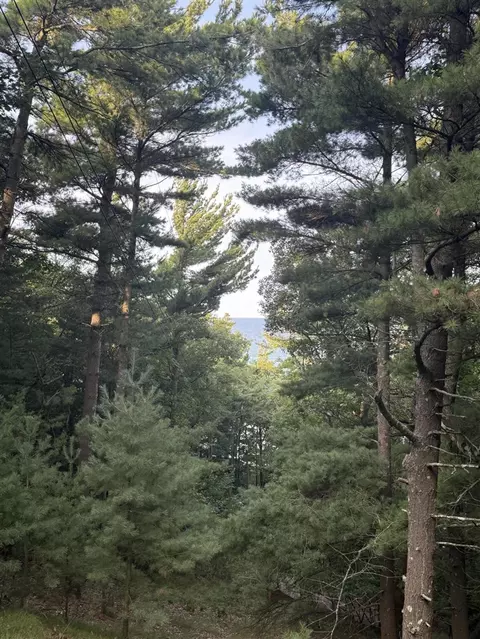 lot G Hemlock, Shelby, MI 49455