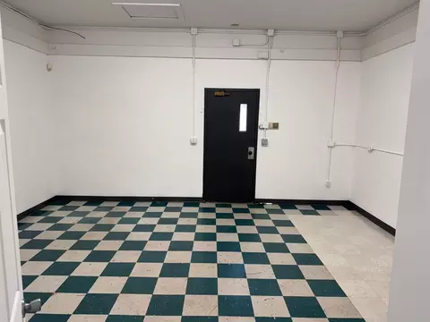 177 S Benson, White Cloud, MI 49349 photo 11