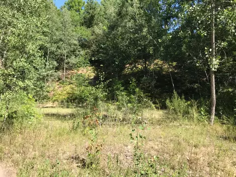 lot S 1011 S Riverview, Hesperia, MI 49421