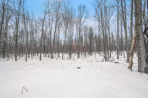 5516 E 68th, Chase, MI 49623 photo 11