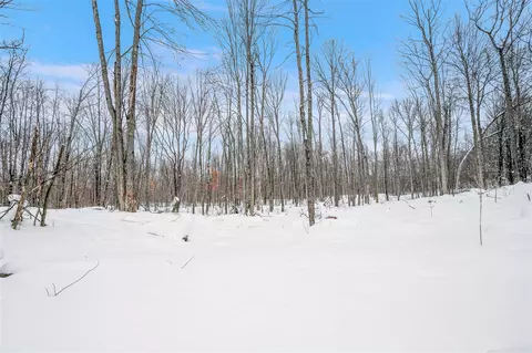 5516 E 68th, Chase, MI 49623 photo 9